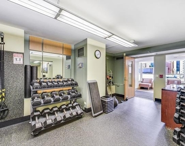 345 N La Salle Drive - Photo Thumbnail 28
