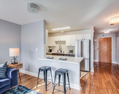 345 N La Salle Drive - Photo Thumbnail 8