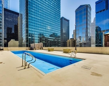 345 N La Salle Drive - Photo Thumbnail 21