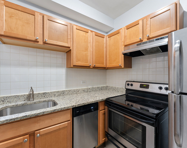 7451 N Greenview Avenue - Photo Thumbnail 3