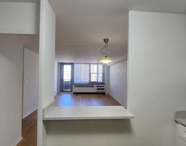 555 W Cornelia Avenue - Photo Thumbnail 14