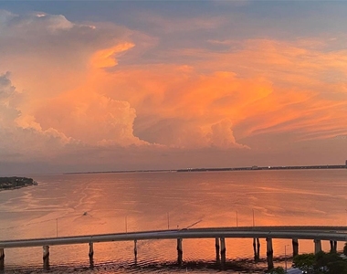 345 Bayshore Boulevard - Photo Thumbnail 2