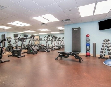 345 Bayshore Boulevard - Photo Thumbnail 16