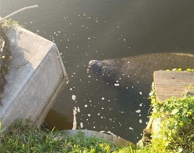 632 Shore Drive - Photo Thumbnail 46