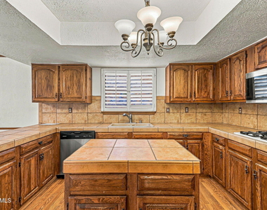 1377 Vista Granada Drive - Photo Thumbnail 9