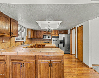 1377 Vista Granada Drive - Photo Thumbnail 11