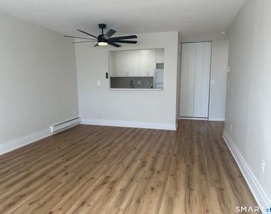 47 Sumner Street - Photo Thumbnail 5