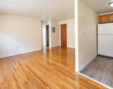 241 Laurel Street - Photo Thumbnail 3