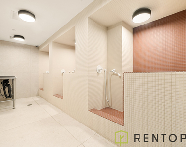 953 Dean Street - Photo Thumbnail 16