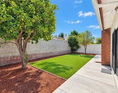 18410 Grevillea - Photo Thumbnail 19