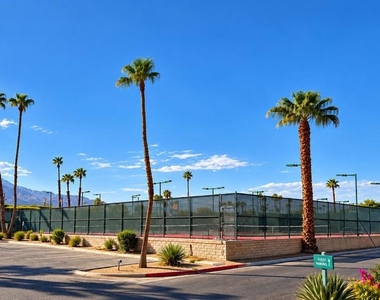 34554 Calle Las Palmas - Photo Thumbnail 18