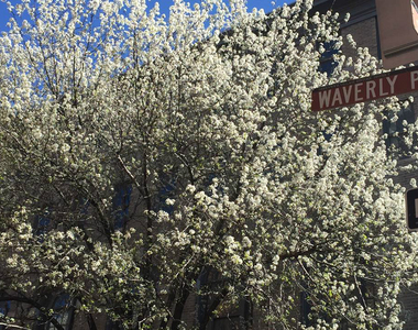 161 W 10th Street - Photo Thumbnail 20
