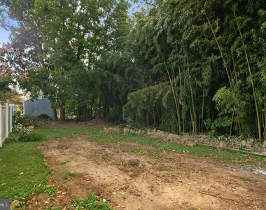 802 Collings Avenue - First Fooor Avenue - Photo Thumbnail 15
