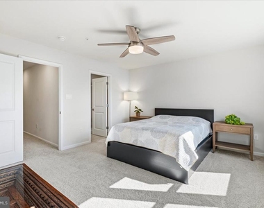 415 Union Street - Photo Thumbnail 21