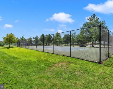4907 Cordova Court - Photo Thumbnail 22