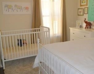 16113 Hampton Bliss Trce - Photo Thumbnail 15