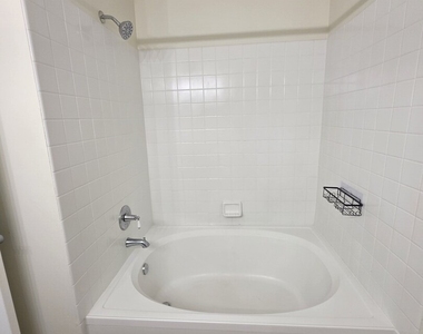 338 Bunker Hill Circle - Photo Thumbnail 11