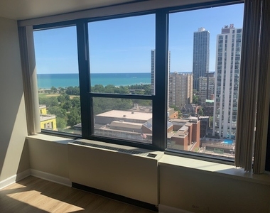 1560 N Sandburg Terrace - Photo Thumbnail 4