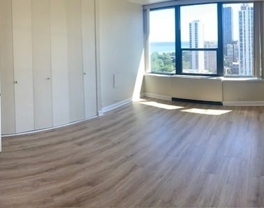 1560 N Sandburg Terrace - Photo Thumbnail 2