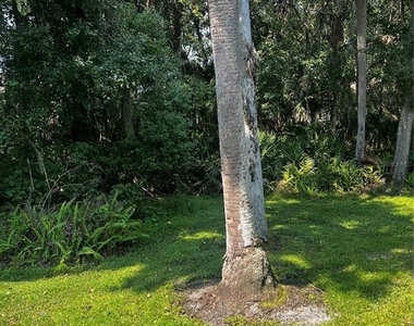 130 Jasmine Woods Court - Photo Thumbnail 24