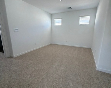 924 Alethea River Avenue - Photo Thumbnail 25