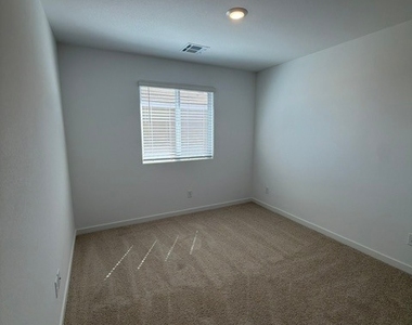 924 Alethea River Avenue - Photo Thumbnail 11