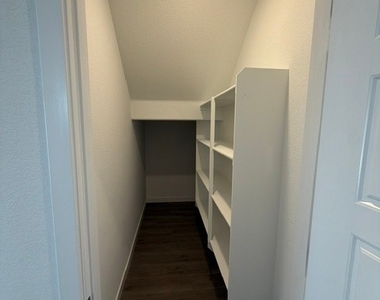 924 Alethea River Avenue - Photo Thumbnail 5