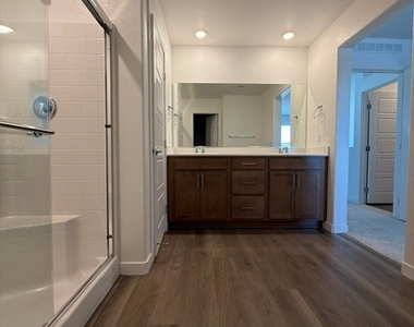 924 Alethea River Avenue - Photo Thumbnail 17