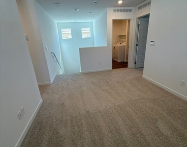 924 Alethea River Avenue - Photo Thumbnail 9
