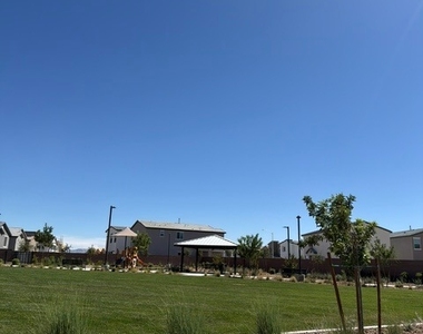 924 Alethea River Avenue - Photo Thumbnail 33