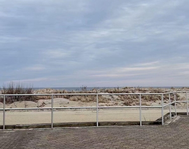 803 Ocean Avenue N - Photo Thumbnail 7
