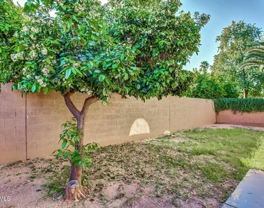 19113 N 75th Drive - Photo Thumbnail 29