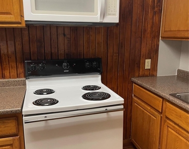 1007 Oakland Street - Photo Thumbnail 6