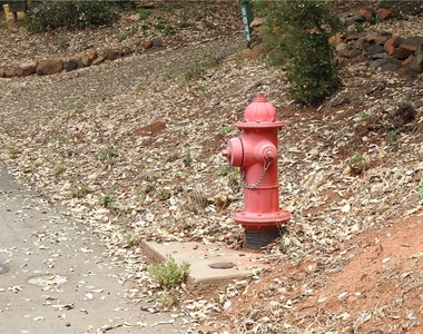 5041 Pine Ridge Avenue - Photo Thumbnail 53