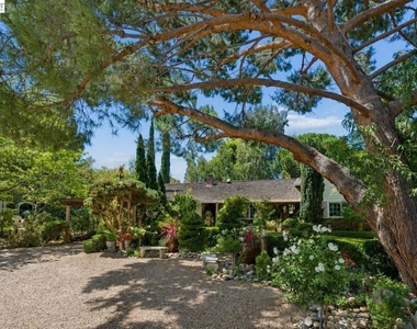 895 Mitchell Canyon Rd - Photo Thumbnail 1