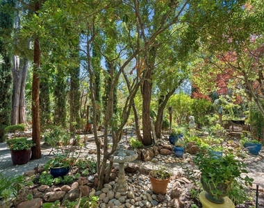 895 Mitchell Canyon Rd - Photo Thumbnail 21