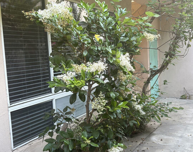 828 Lincoln Boulevard - Photo Thumbnail 11