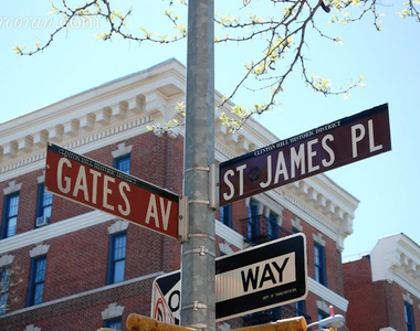 178 St James Place - Photo Thumbnail 10