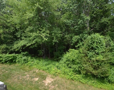 7705 Wiley Creek Way - Photo Thumbnail 23