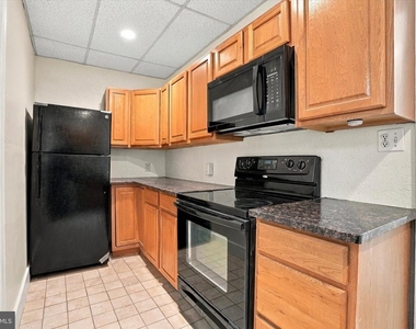 3887 Manayunk Avenue - Photo Thumbnail 4