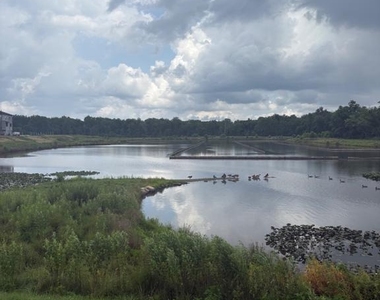 213 Lyons Creek Drive - Photo Thumbnail 3