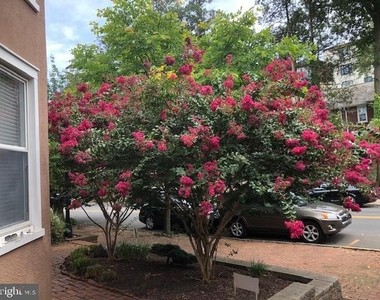 1705 N Rodney Street - Photo Thumbnail 21