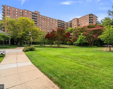 4201 Cathedral Avenue Nw - Photo Thumbnail 13