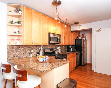 1540 N State Parkway - Photo Thumbnail 6