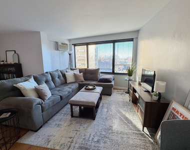 3100 N Lake Shore Drive - Photo Thumbnail 10
