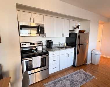 3100 N Lake Shore Drive - Photo Thumbnail 12