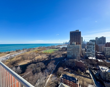 3100 N Lake Shore Drive - Photo Thumbnail 2