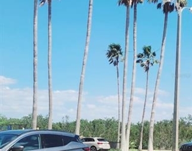 1480 Gulf Boulevard - Photo Thumbnail 28
