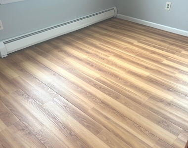 204 Booth Street - Photo Thumbnail 8