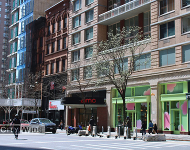 337 East 88th Street - Photo Thumbnail 4